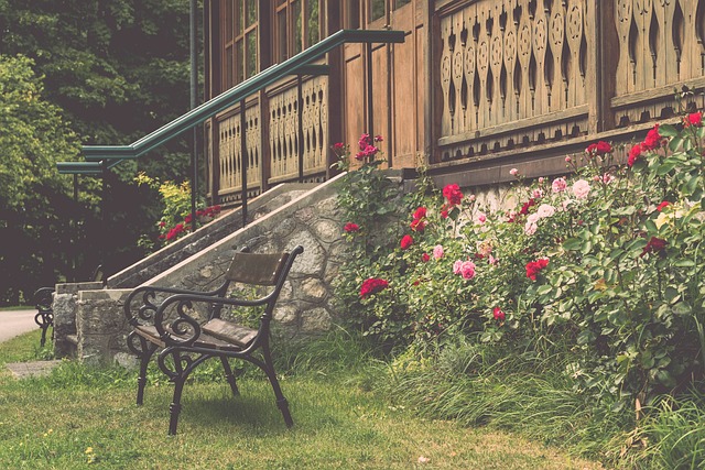 无奈的伤病 无奈的伤病