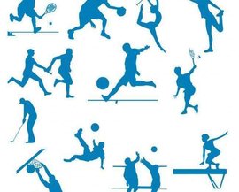 他们很可能 他们很可能