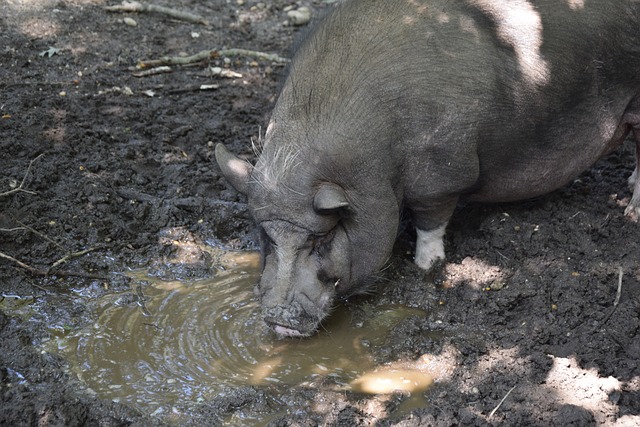 在比赛中起 在比赛中起