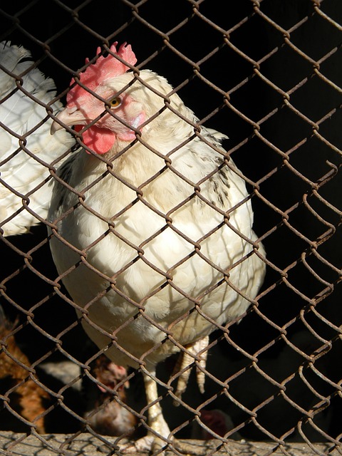 业的投入 业的投入